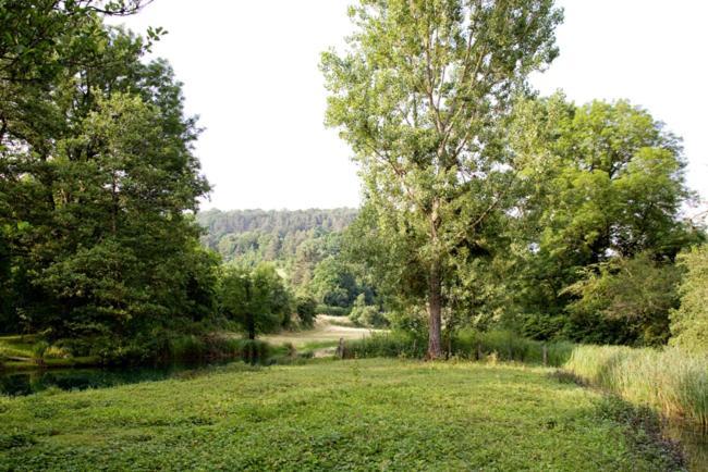 Gites La Forge De Sainte Marie Thonnance-les-Moulins 外观 照片